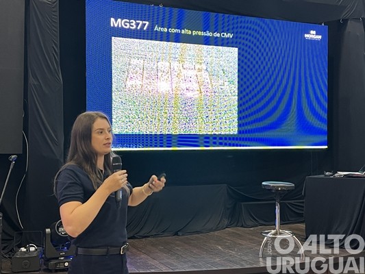 Morgan apresenta híbrido de milho superprecoce e de alta performance produtiva