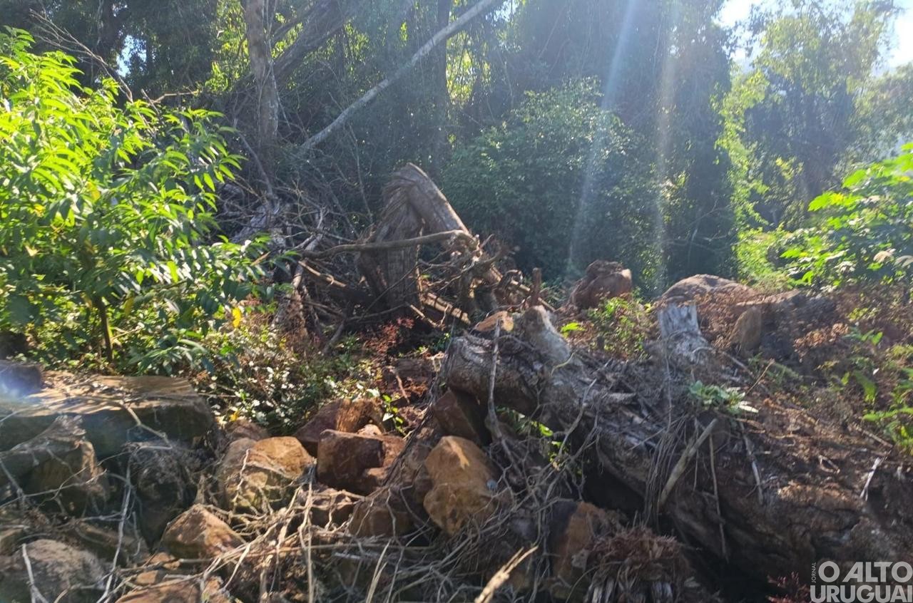 Batalhão Ambiental flagra destruição de vegetação nativa em Pinheirinho do Vale