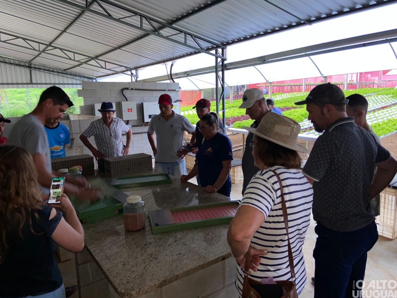 Visitas técnicas do STR iniciam em propriedades de hortifruti