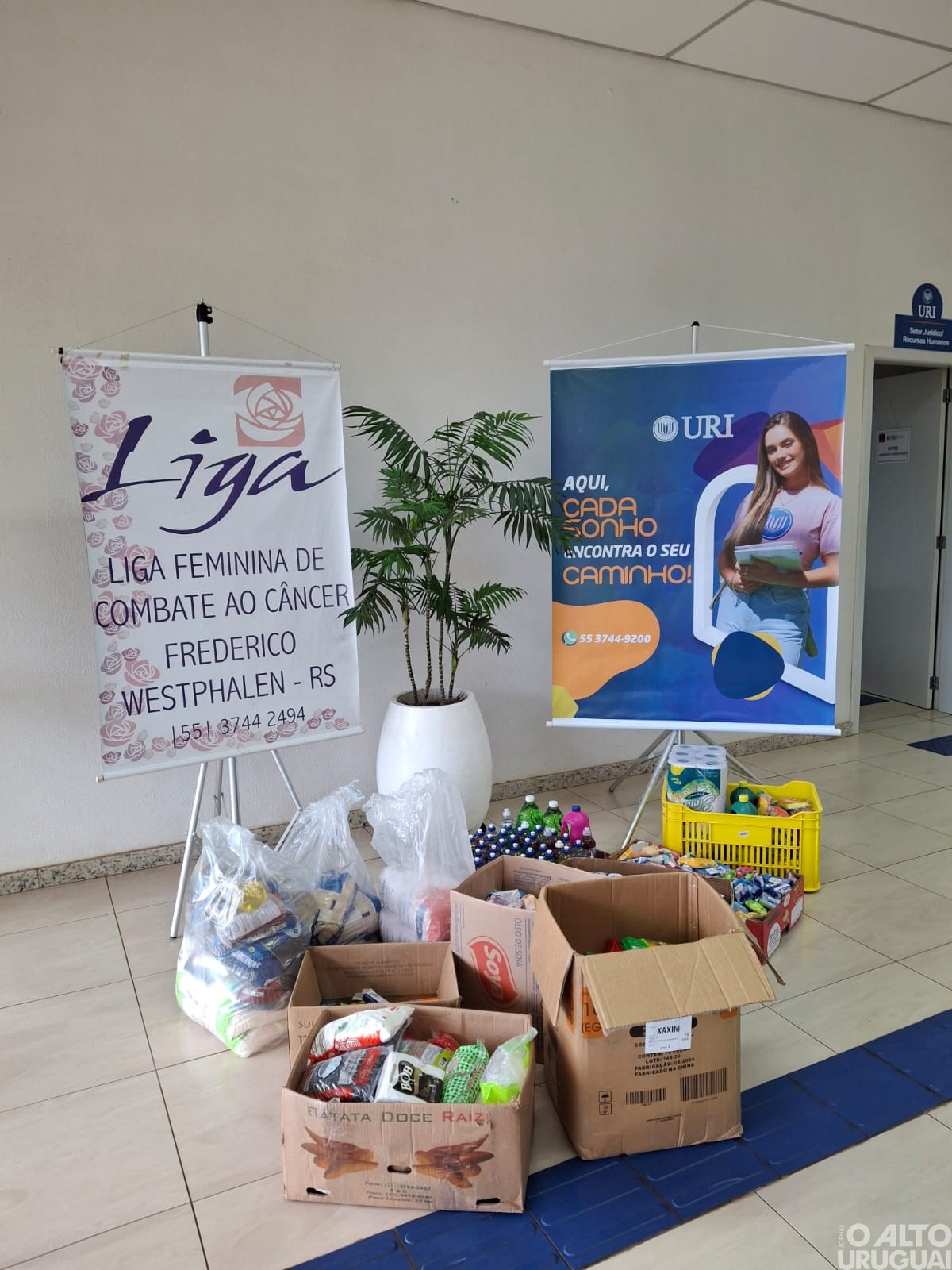 Liga do Câncer de FW precisa de alimentos com urgência