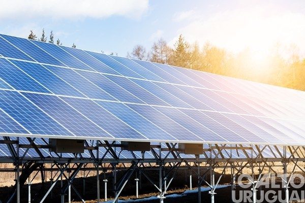 Plano Safra é anunciado com taxas reduzidas para energia solar