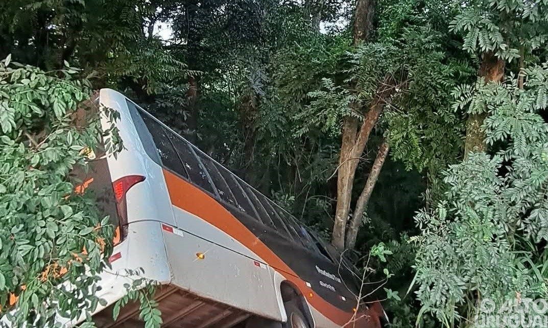 Ônibus e caminhão colidem na BR-386 em Seberi