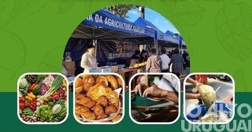 Novo Tiradentes: Feira da Agricultura Familiar, Artesanato e Peixe Vivo acontece neste sábado