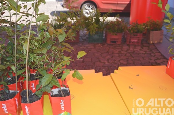 Evento realizado pela Creluz em Pinhal marca o Dia da Árvore