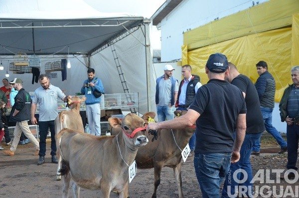 Nova pista de julgamentos é novidade no espaço dos animais na Expofred