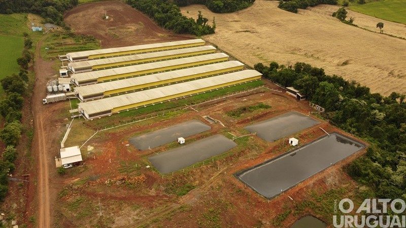 Alternativa “verde” e econômica para produtores de proteína animal