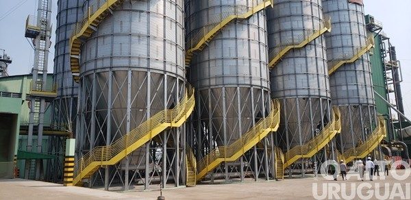 Corsan acelera transição para energia limpa e fortalece compromisso com sustentabilidade