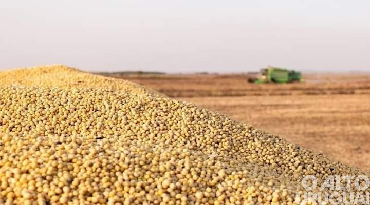 Exportação do agronegócio nacional registra US$ 16,5 bilhões em março