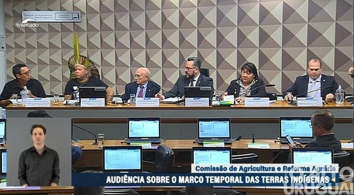 Comissão de Agricultura do Senado aprova texto sem alterações