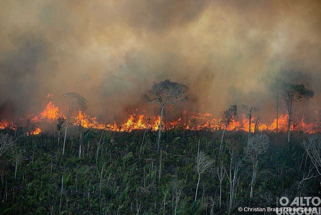 Fumaça das queimadas da Amazônia devem chegar ao RS nesta terça-feira