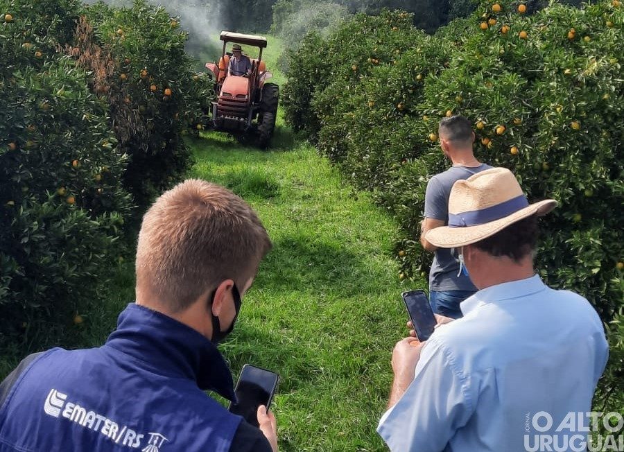 Tecnologia de aplicação e manejo de pomares é foco de capacitação para extensionistas