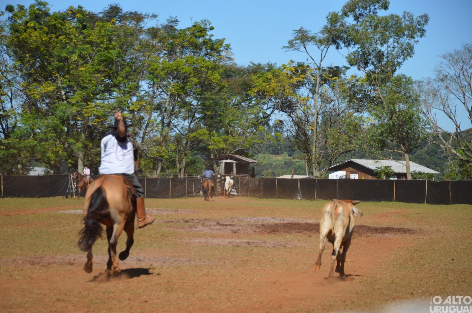Rodeio Crioulo de FW encerra neste domingo