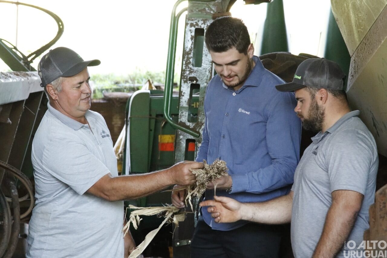 Inovação e tecnologia garantem sucessão rural em propriedade de Cristal do Sul
