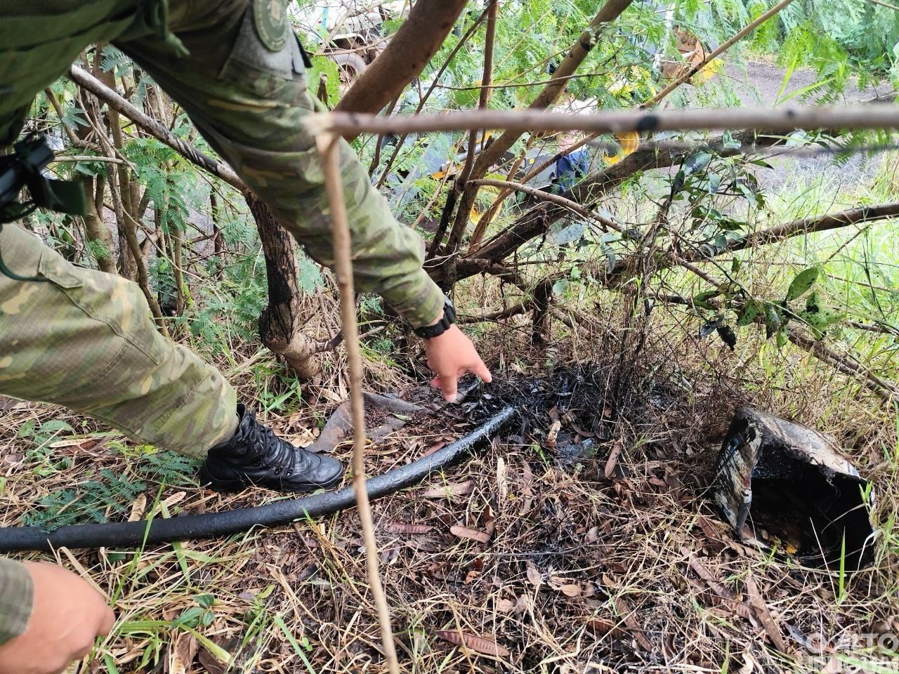 Brigada Militar flagra crime ambiental em Planalto