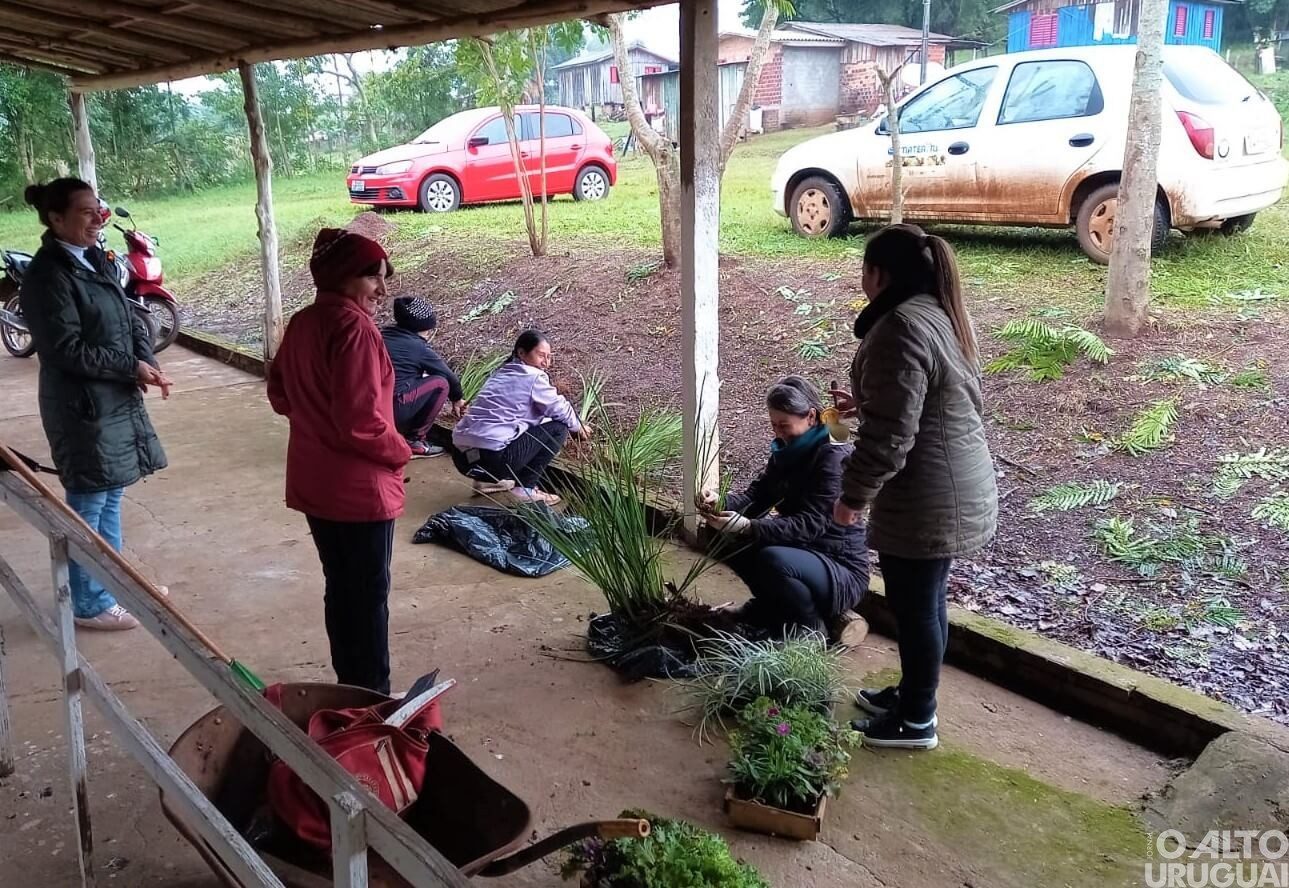 Trabalho de organização rural mobiliza mulheres em Novo Tiradentes