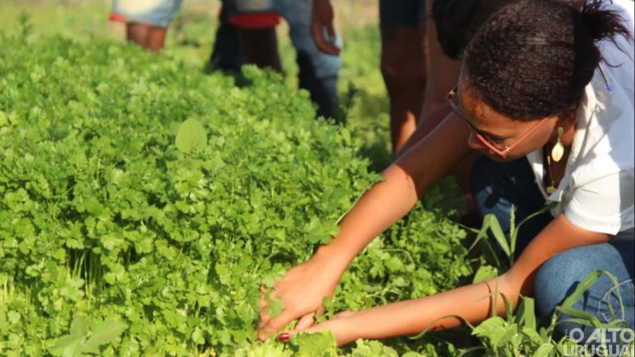 Programa Agrofamília: projetos para agroindústrias, pescadores e quilombolas são anunciados