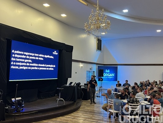 Morgan apresenta híbrido de milho superprecoce e de alta performance produtiva