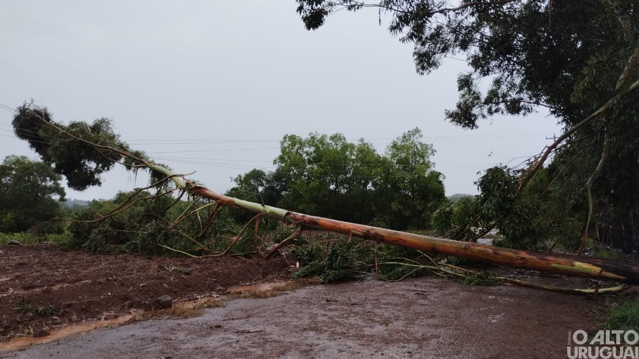 Forte temporal deixa rastro de destruição e muitos prejuízos na região