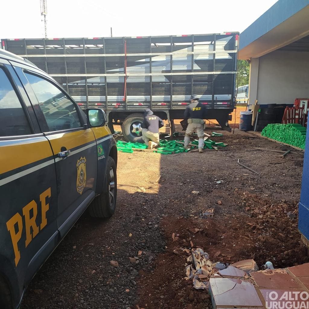 PRF apreende mais de 500 kg de drogas escondidas em caminhão boiadeiro em Seberi