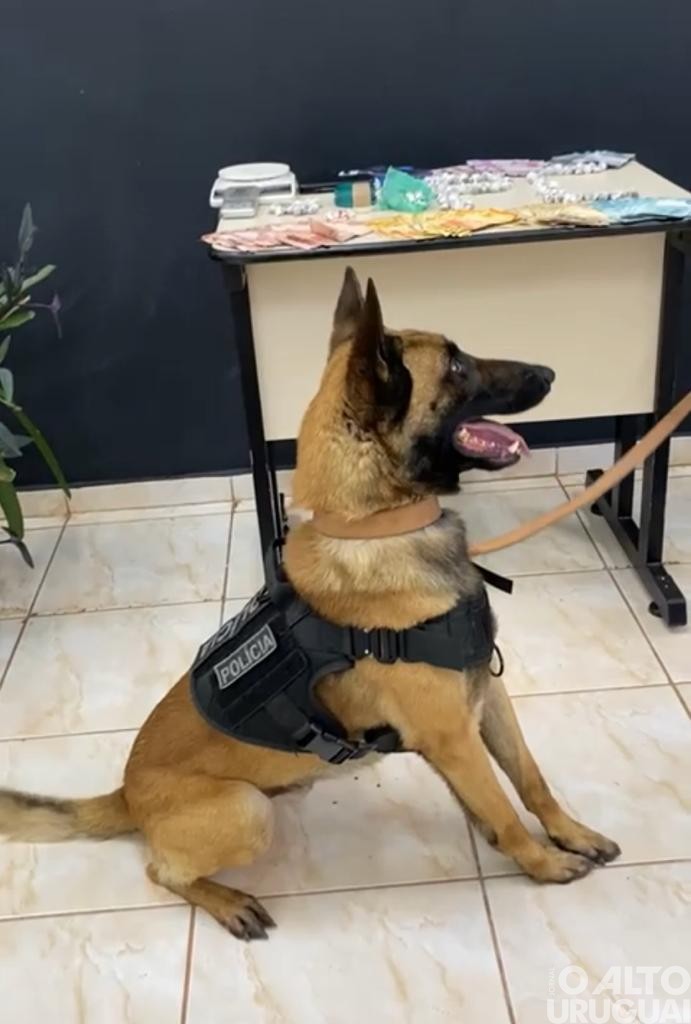 Homem é preso por tráfico de drogas em Palmeira das Missões