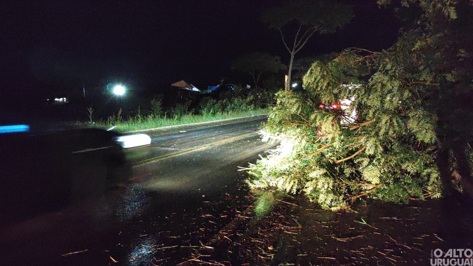 PRF libera mais de 30 pontos com quedas de árvores em rodovias federais no Norte do RS