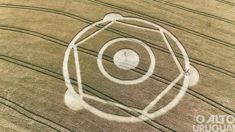 Figura geométrica aparece em plantação de trigo de SC