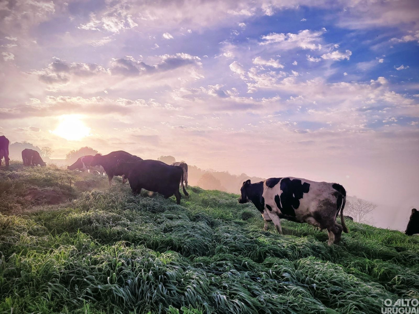 Ganhadores do Concurso Fotográfico de Novo Tiradentes são divulgados