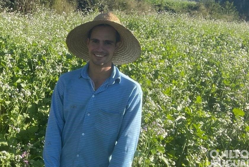 Agronomia proporciona oportunidades de crescimento no mercado do agronegócio
