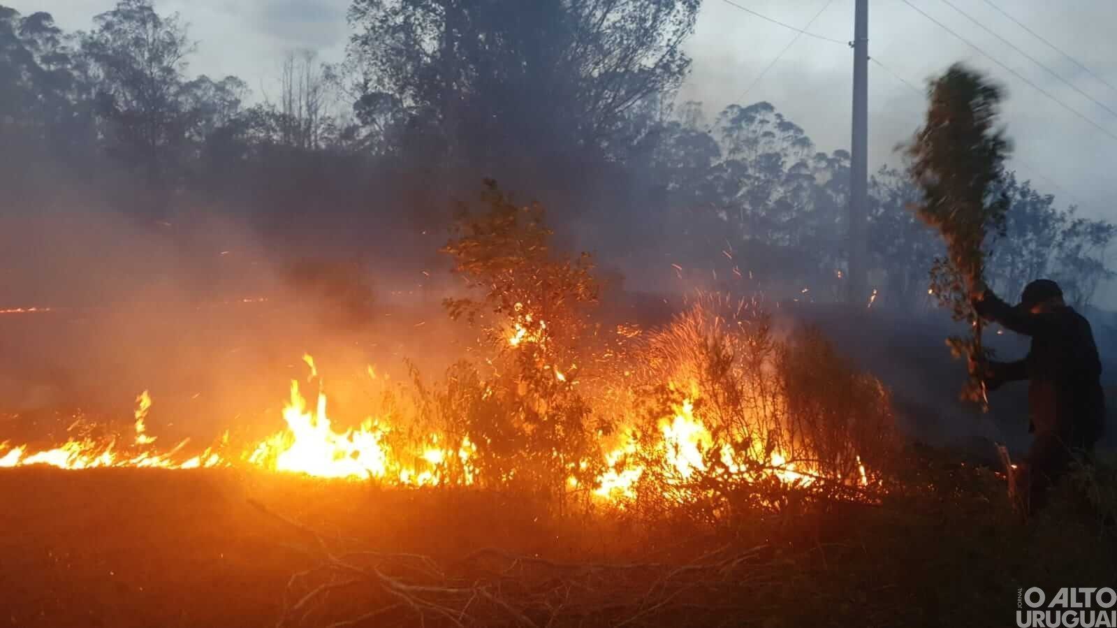 Número de incêndios em vegetação aumenta no RS