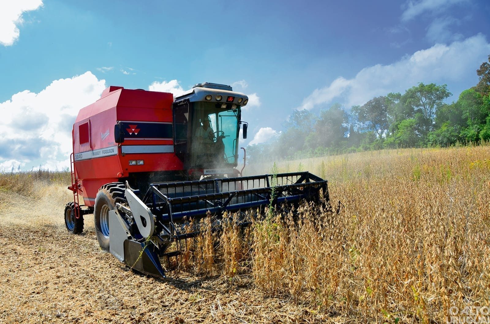 Produção de soja no RS cai 27% na safra 2024/2025