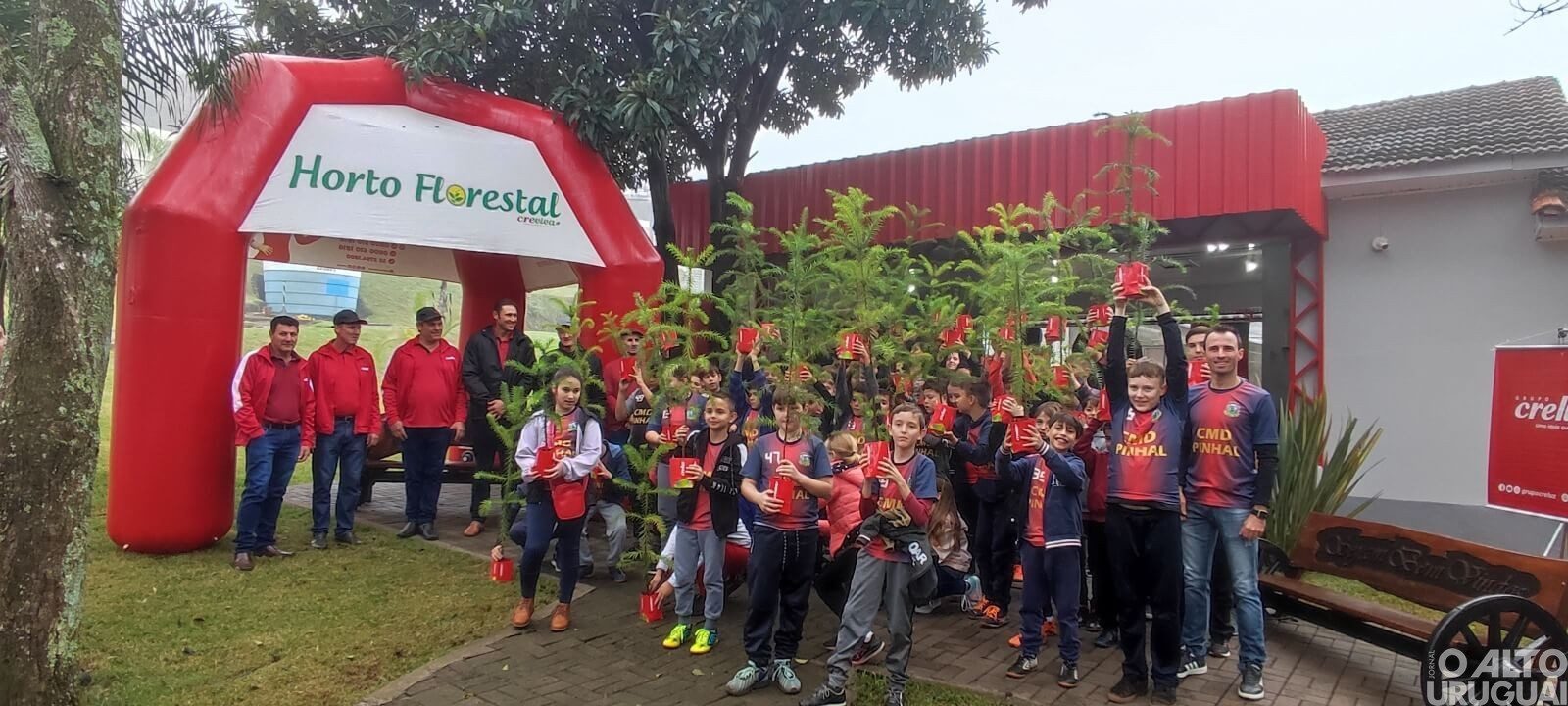 Creluz celebra o Dia do Cooperativismo com plantio de pinheiros no Horto Florestal