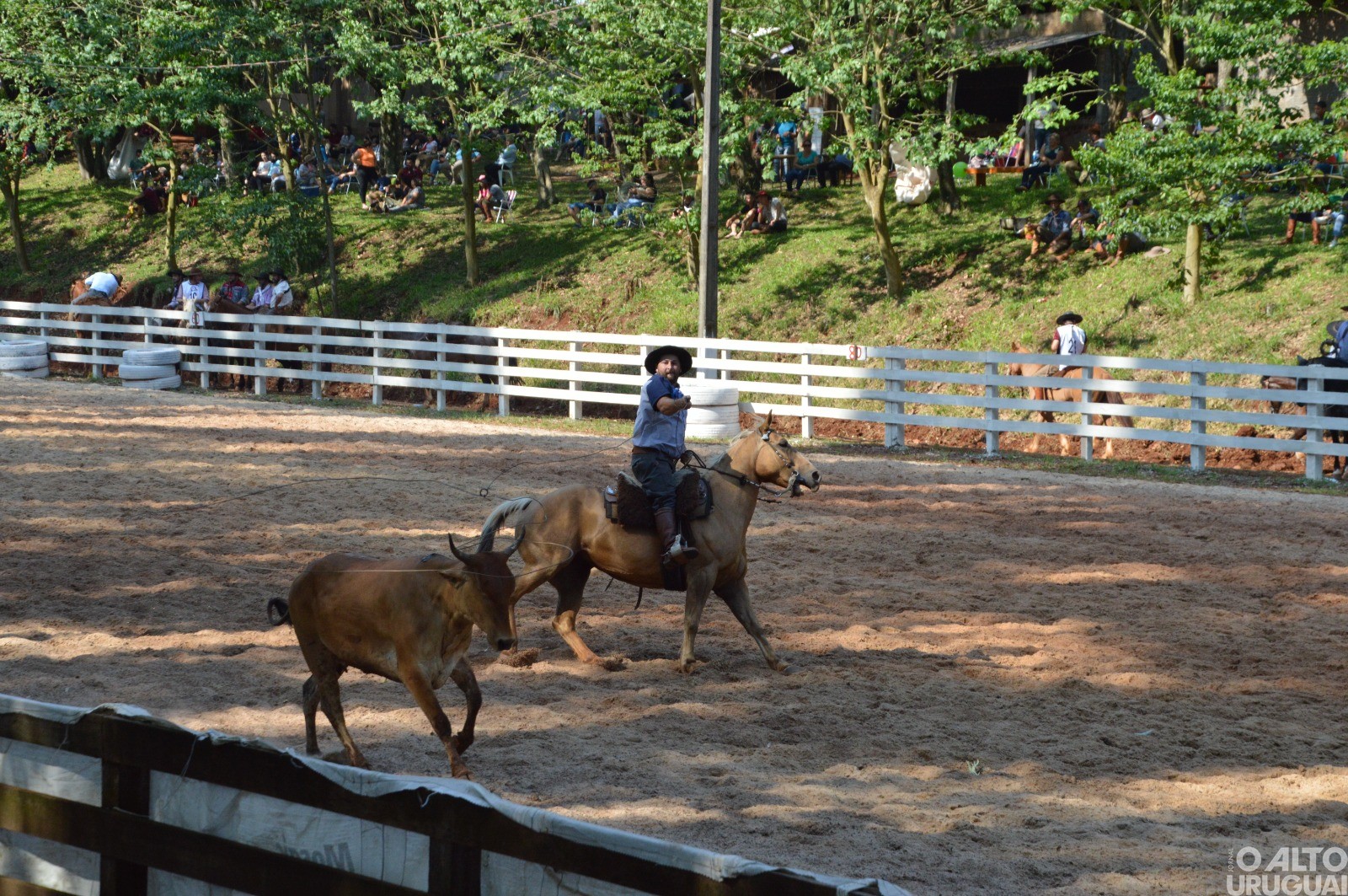 Boa Vista das Missões: Rodeio Crioulo reúne grande número de tradicionalistas