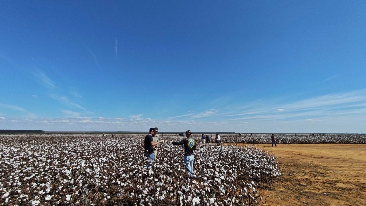 Estudantes de Agronomia da UFSM/FW conhecem realidade do agronegócio no Cerrado brasileiro