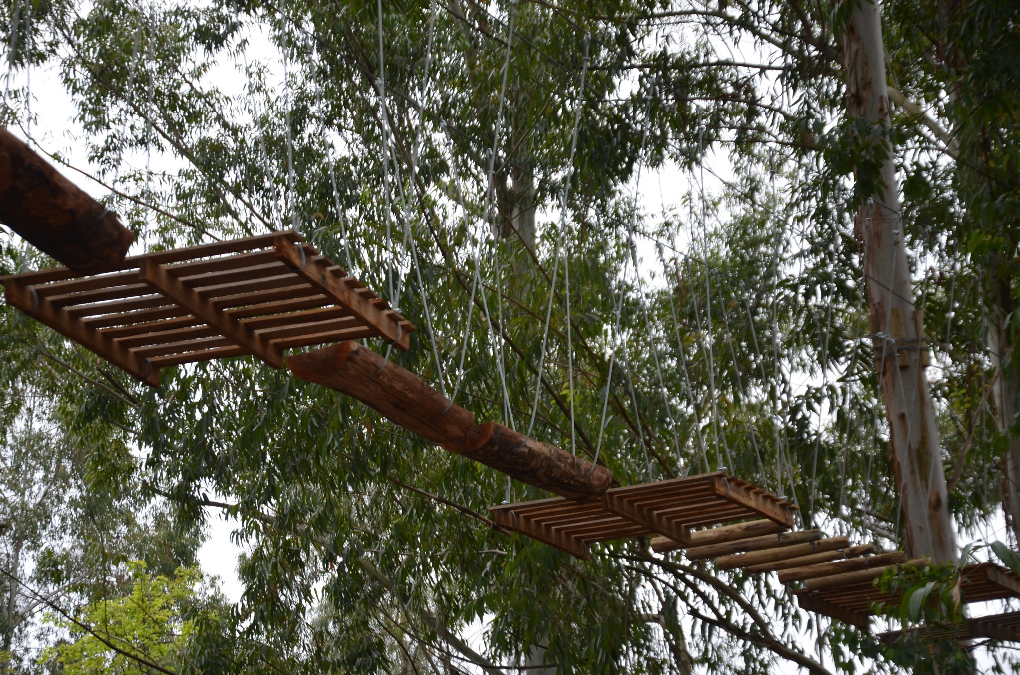Ametista do Sul - inauguração Eco Parque Raízes