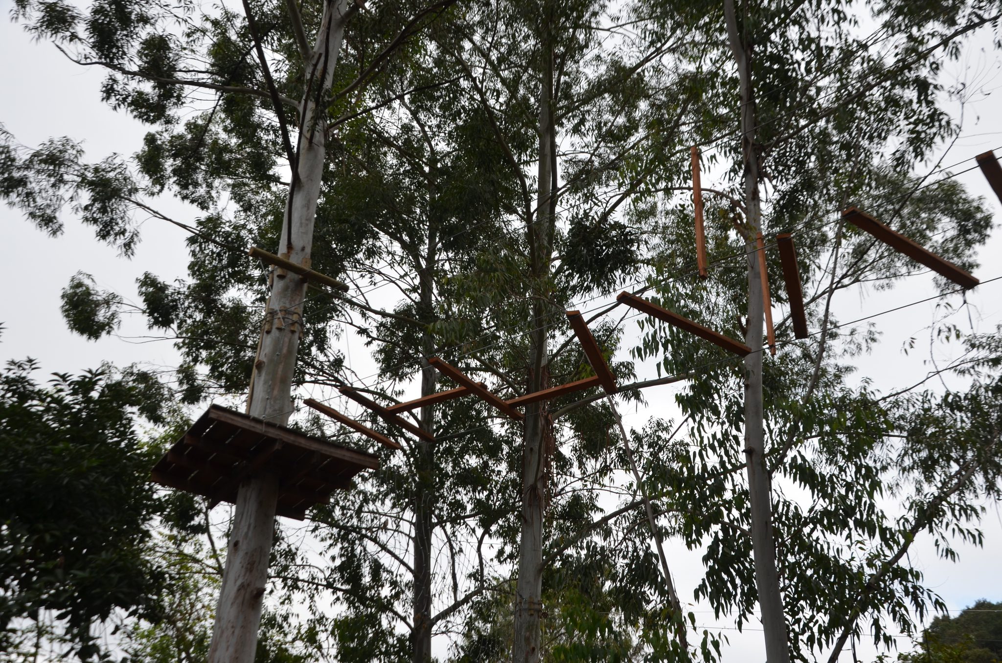 Ametista do Sul - inauguração Eco Parque Raízes
