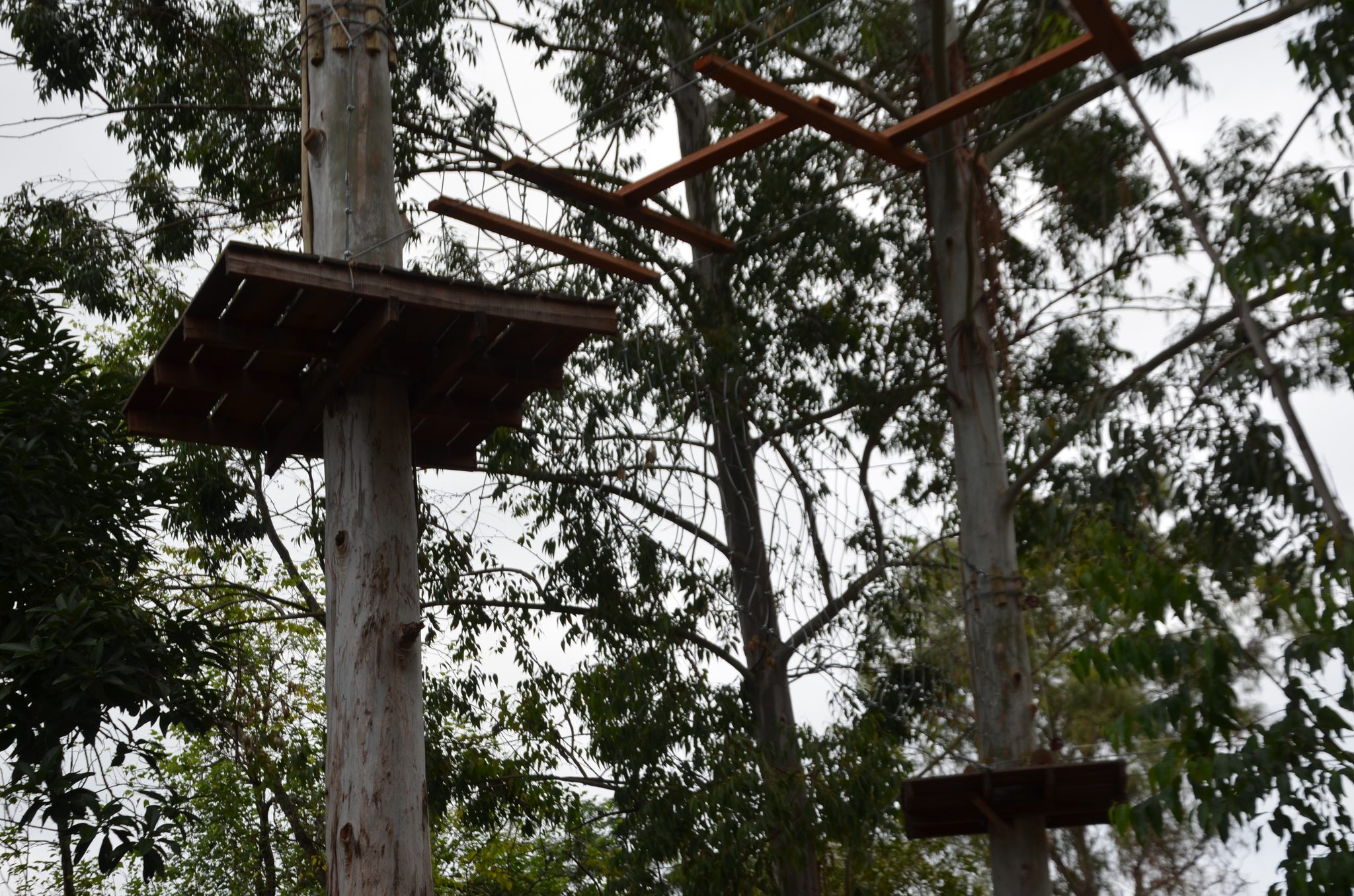 Ametista do Sul - inauguração Eco Parque Raízes