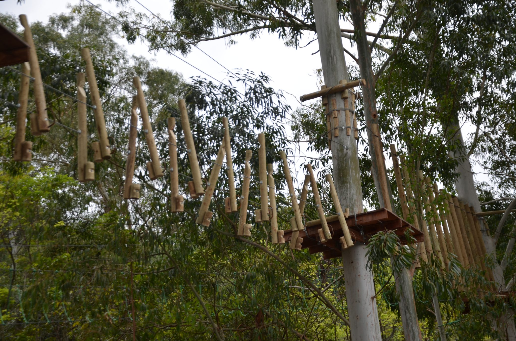 Ametista do Sul - inauguração Eco Parque Raízes