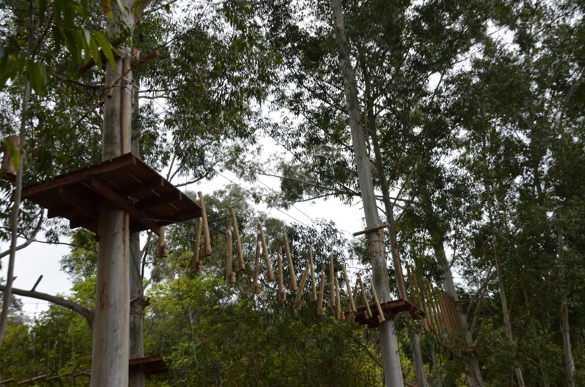 Ametista do Sul - inauguração Eco Parque Raízes