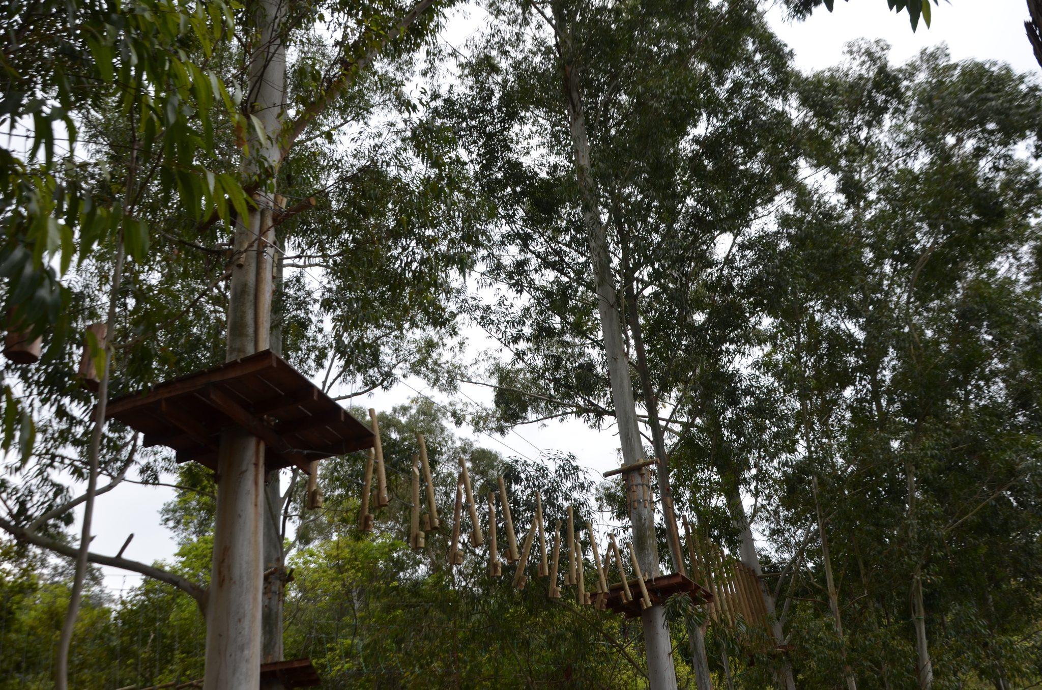 Ametista do Sul - inauguração Eco Parque Raízes