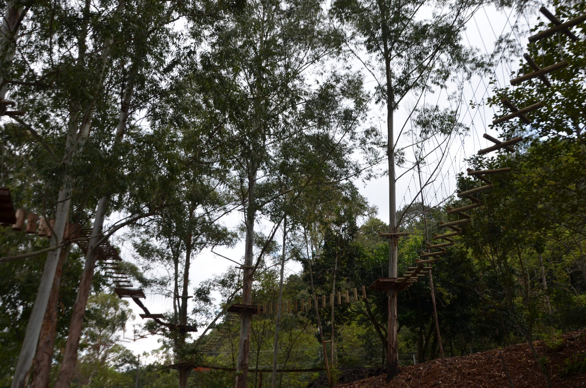 Ametista do Sul - inauguração Eco Parque Raízes
