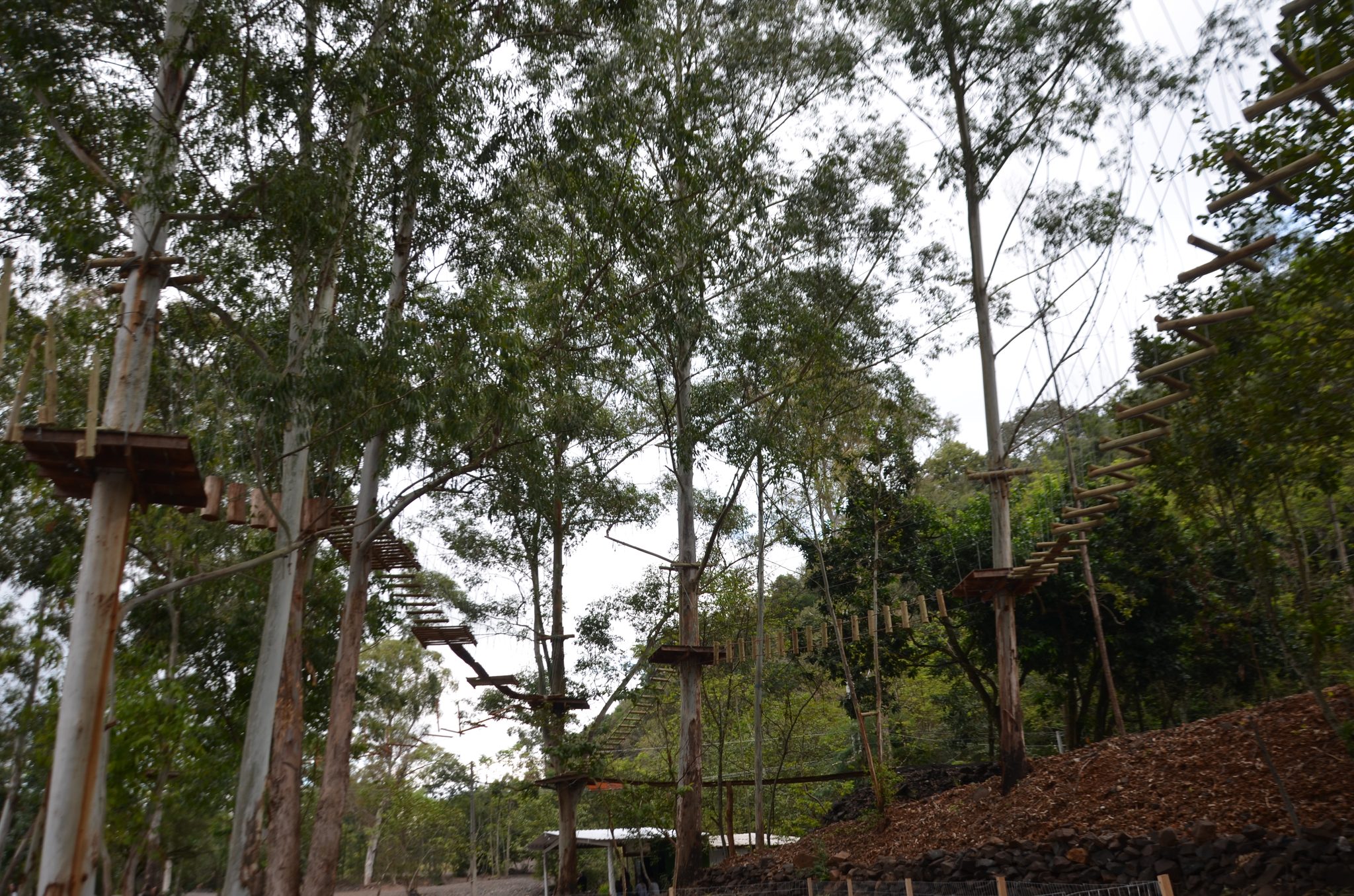 Ametista do Sul - inauguração Eco Parque Raízes