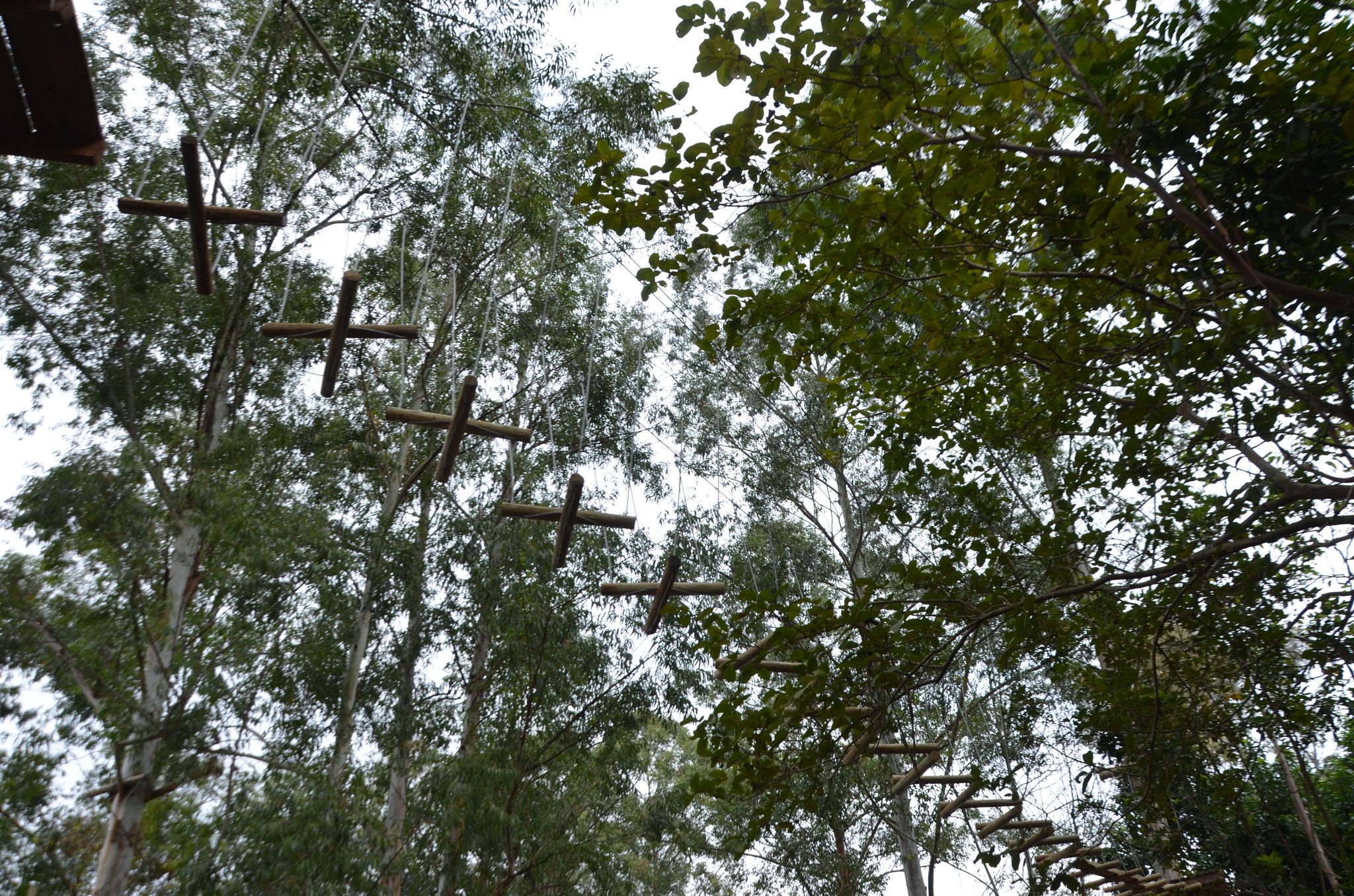 Ametista do Sul - inauguração Eco Parque Raízes
