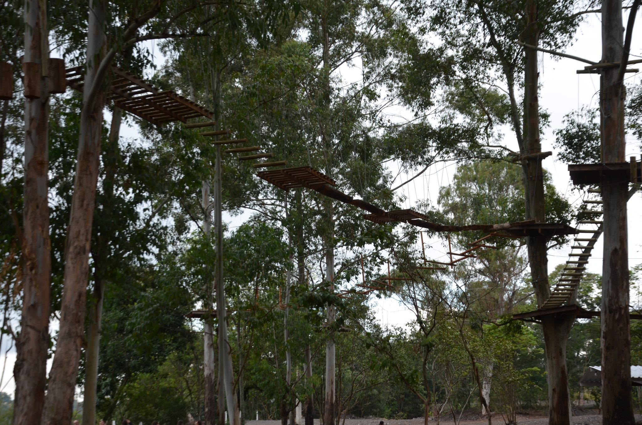 Ametista do Sul - inauguração Eco Parque Raízes