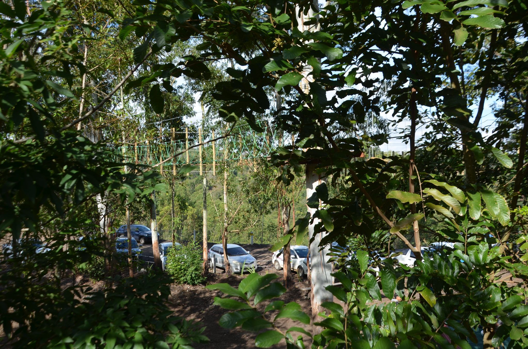 Ametista do Sul - inauguração Eco Parque Raízes