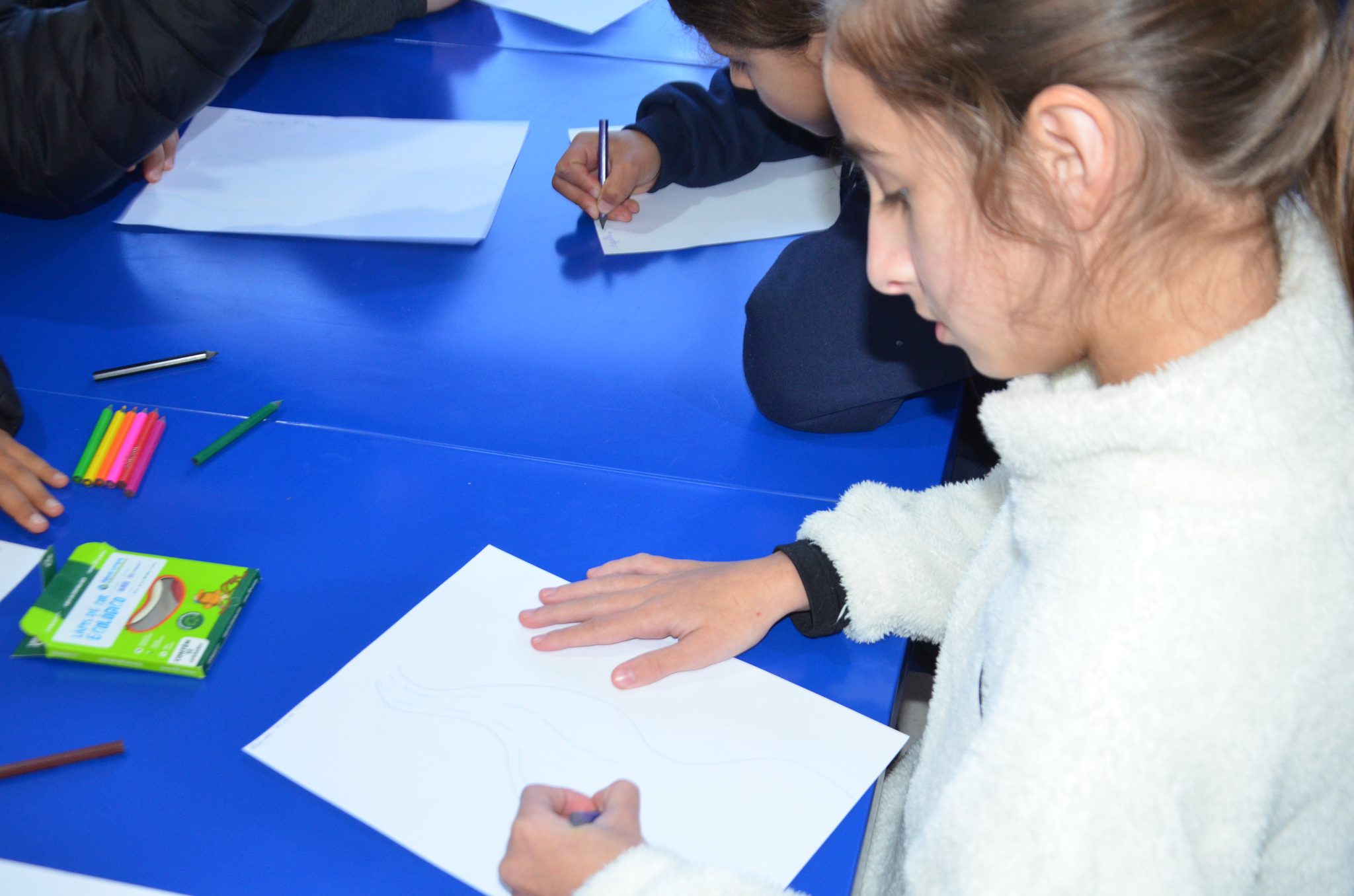 Taquaruçu do Sul – Água Limpa, Futuro Sustentável: Escola Afonso Balestrin