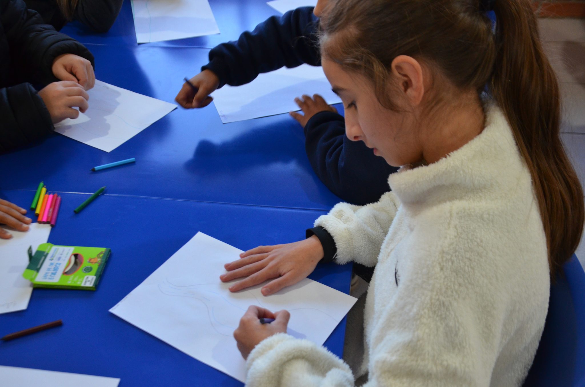 Taquaruçu do Sul – Água Limpa, Futuro Sustentável: Escola Afonso Balestrin
