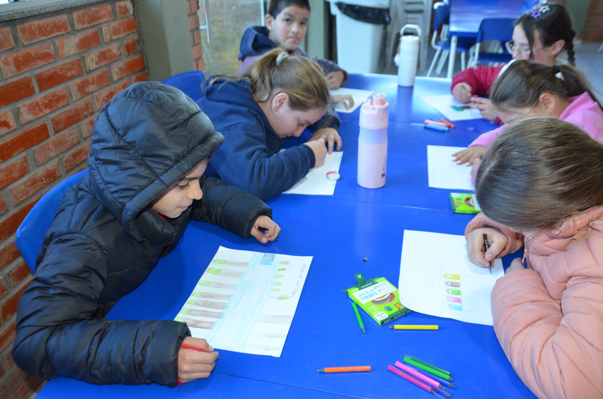 Taquaruçu do Sul – Água Limpa, Futuro Sustentável: Escola Afonso Balestrin