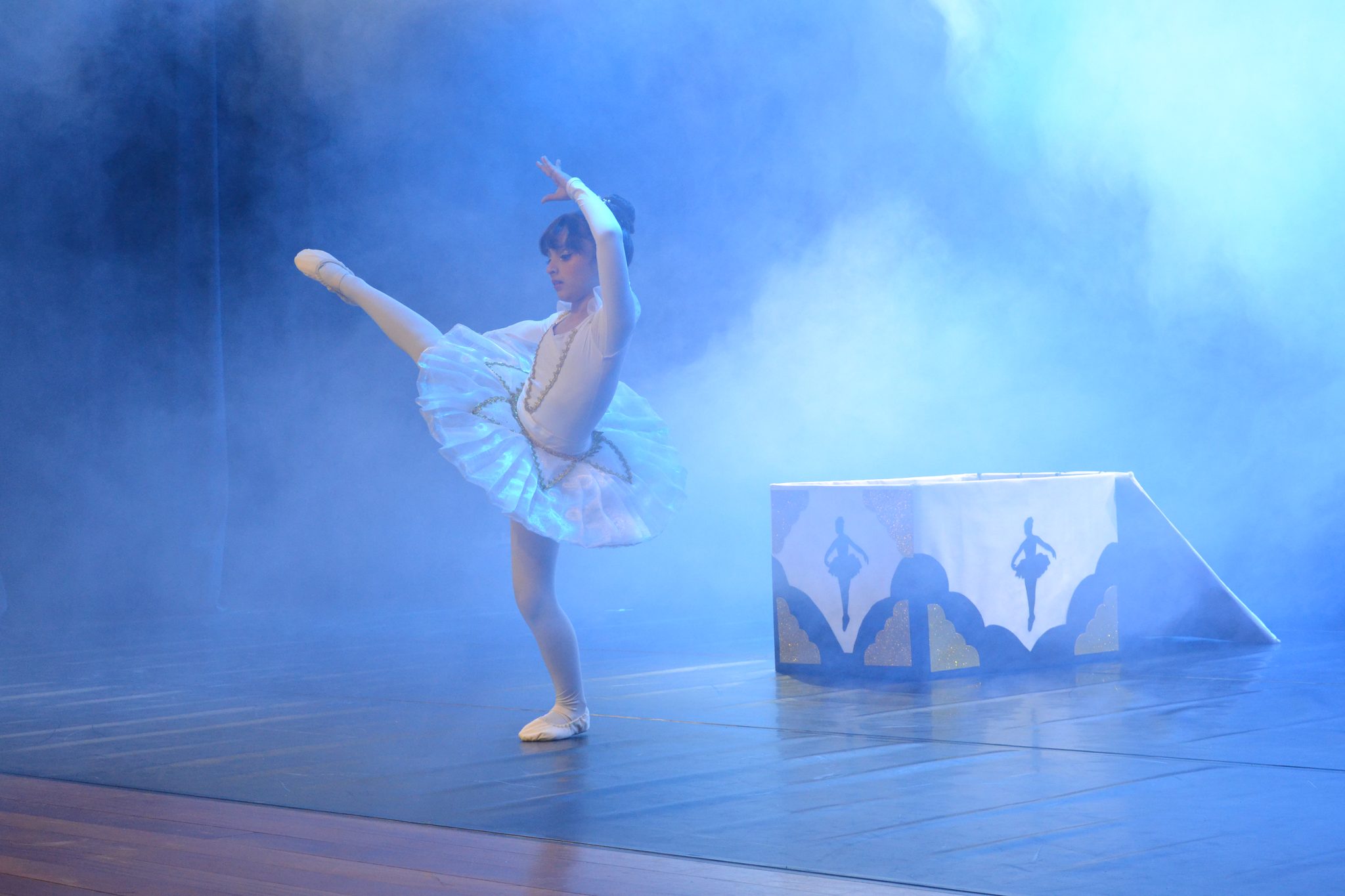Festival Atena - Mostra de danças (27/06)
