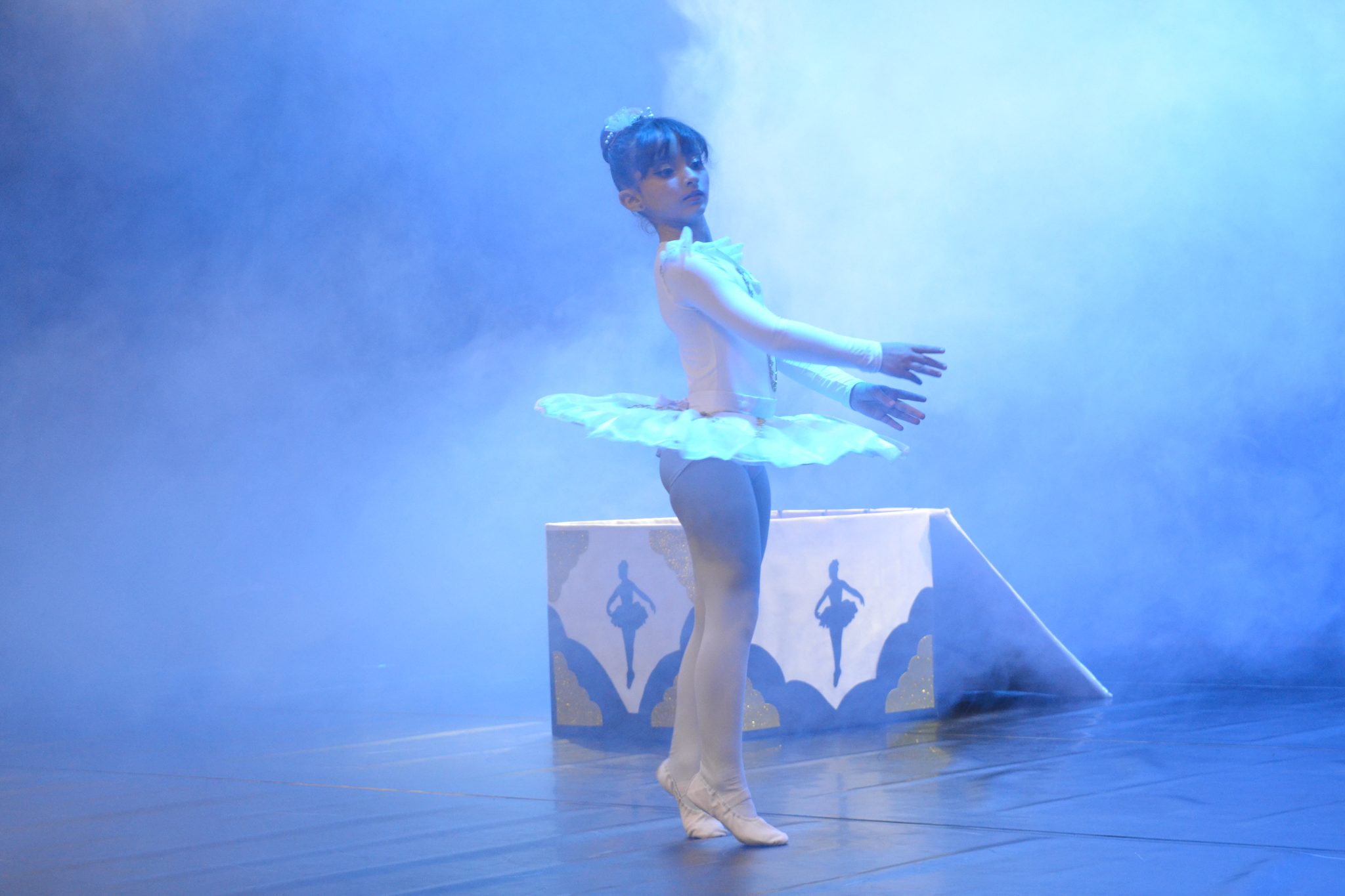 Festival Atena - Mostra de danças (27/06)