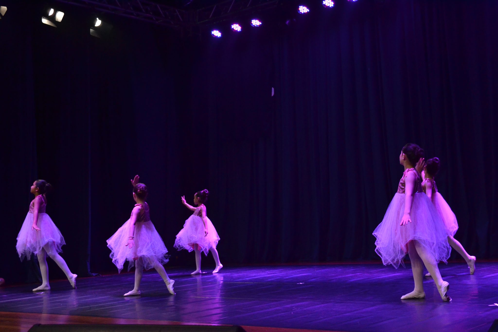 Festival Atena - Mostra de danças (27/06)